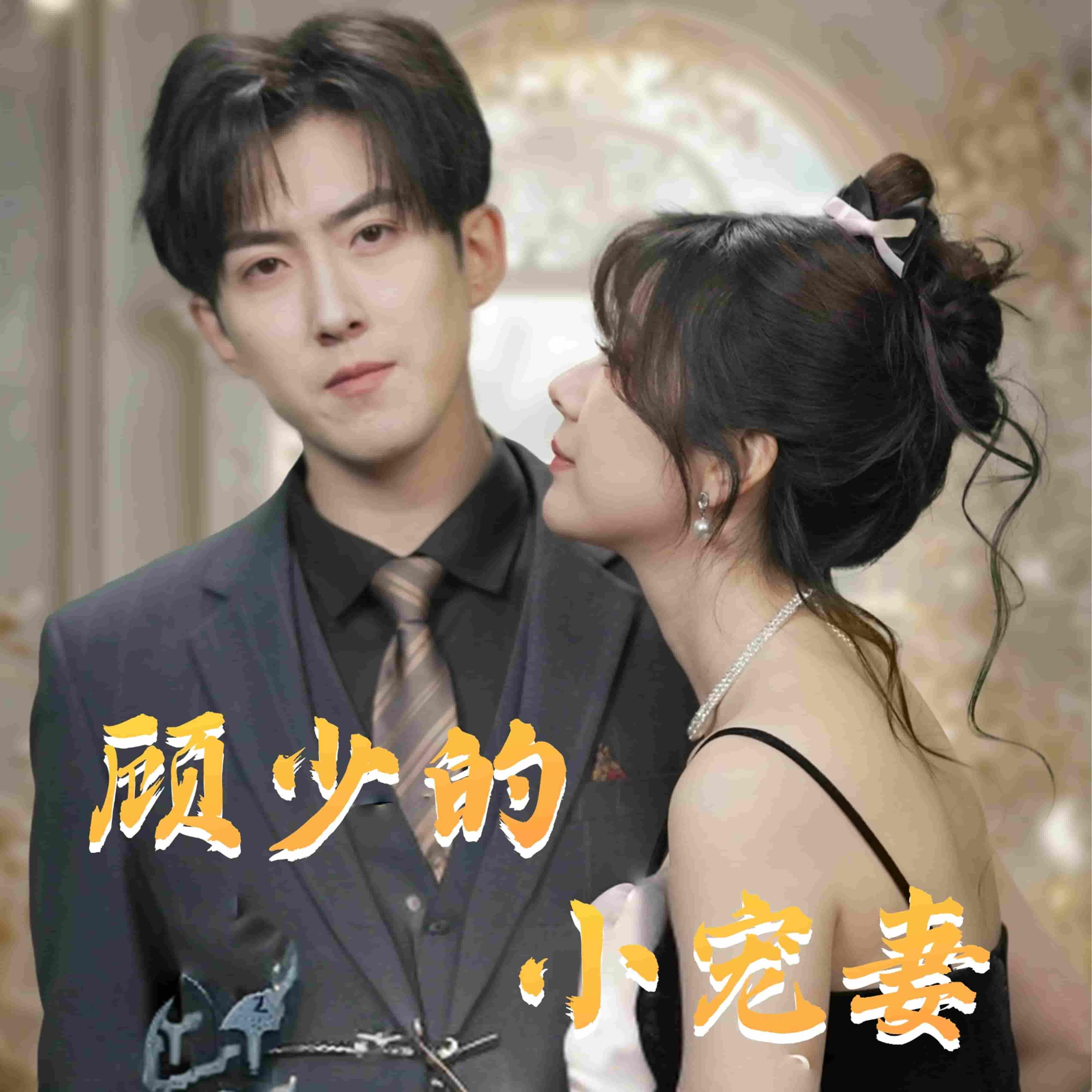 顾少的小宠妻(全集)