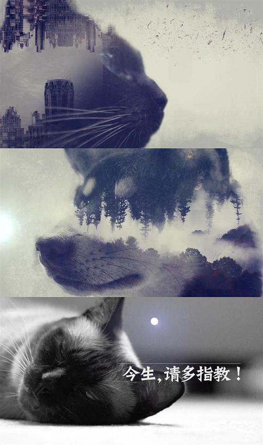 今生，请多指教第二季(全集)