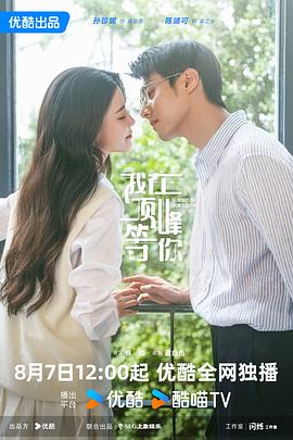 我在顶峰等你(全集)