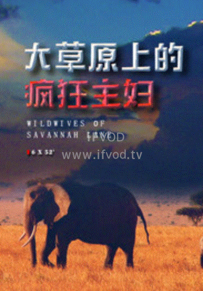大草原上的疯狂主妇(全集)